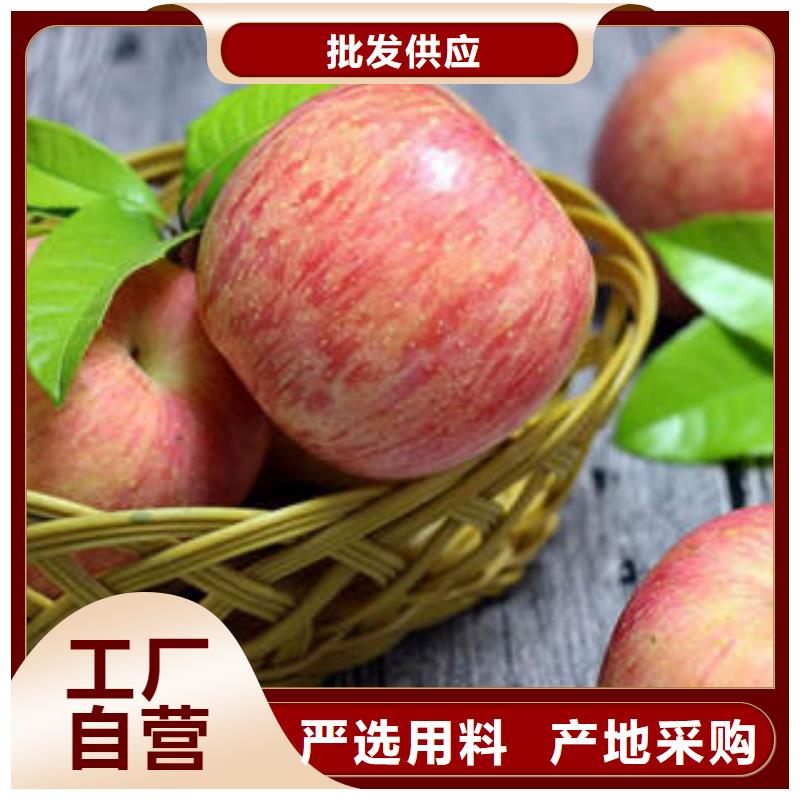 红富士苹果真正让利给买家每一处都是匠心制作