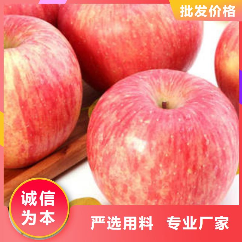 红富士苹果N年大品牌本地经销商