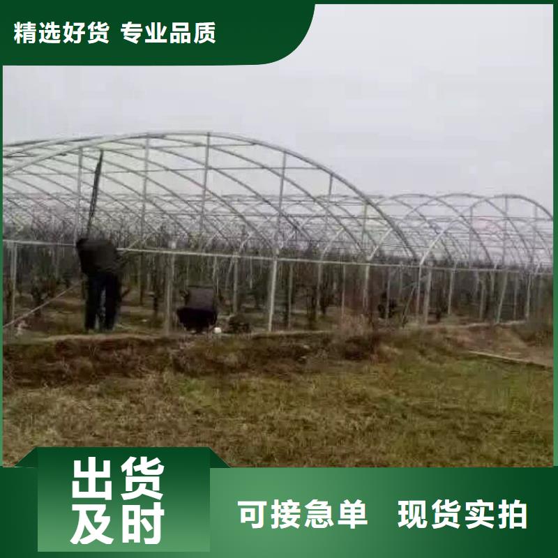钢管H型钢抛丸喷漆精致工艺当地公司
