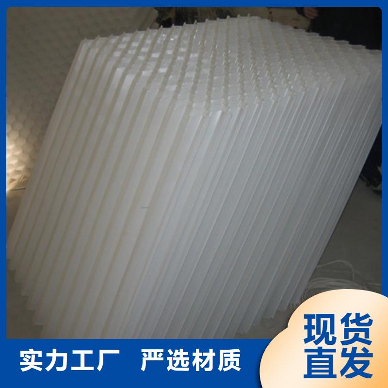 蜂窝斜管_多面空心球专业的生产厂家优选原材