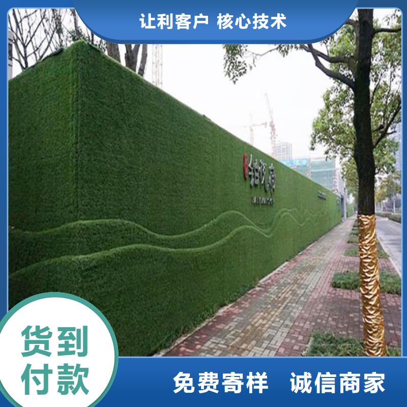 围挡草坪人工草坪围挡生产经验丰富支持定制批发