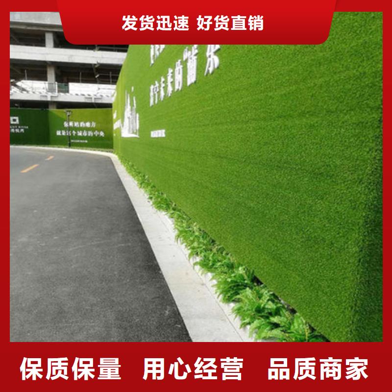 草坪围挡人工草坪围挡价格地道自有生产工厂