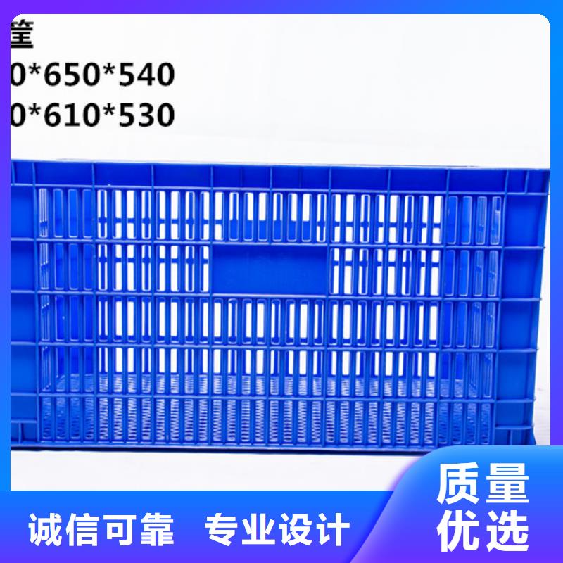 塑料筐-塑料渔船一致好评产品拥有多家成功案例