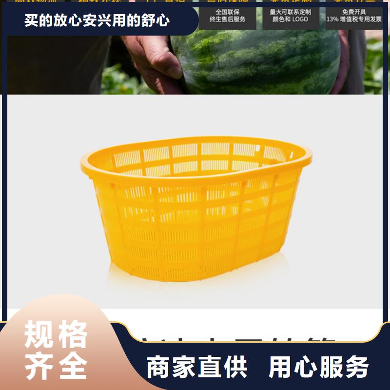塑料筐防潮板的图文介绍当地经销商