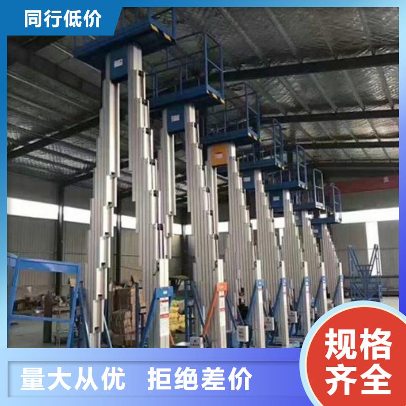 高空作业平台传菜机厂家品牌大厂家支持非标定制