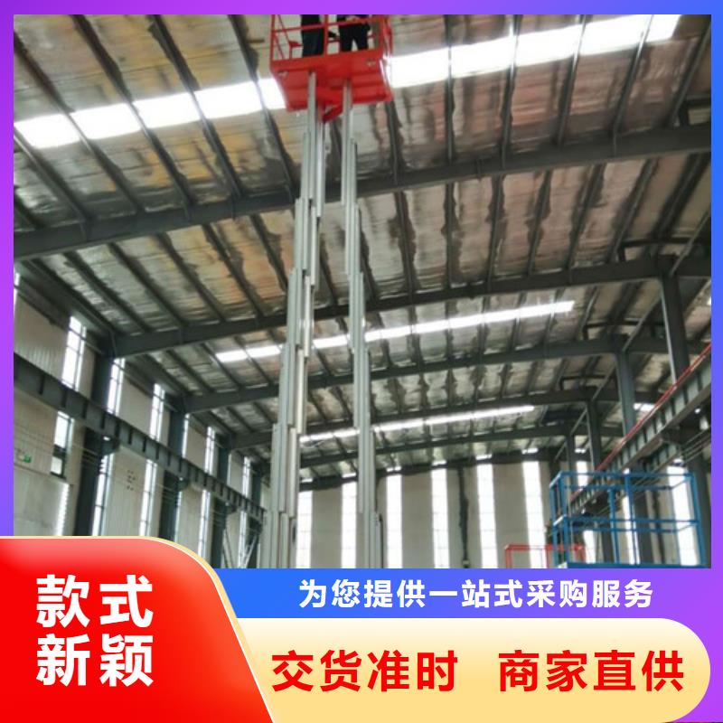 铝合金升降机-高空作业平台厂家直营选择大厂家省事省心