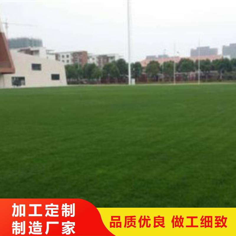 人造草坪塑胶跑道用心服务多种规格库存充足