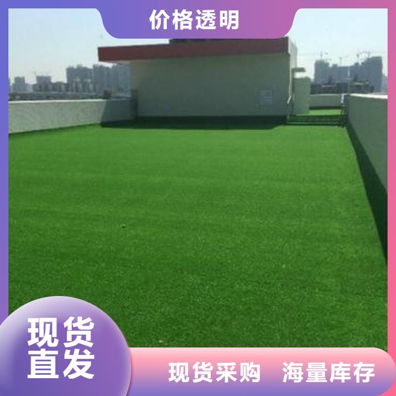 人造草坪,塑胶跑道厂家售后完善适用场景