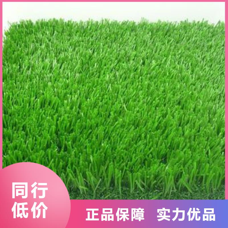 【人造草坪】,橡胶地板质检严格货到付款