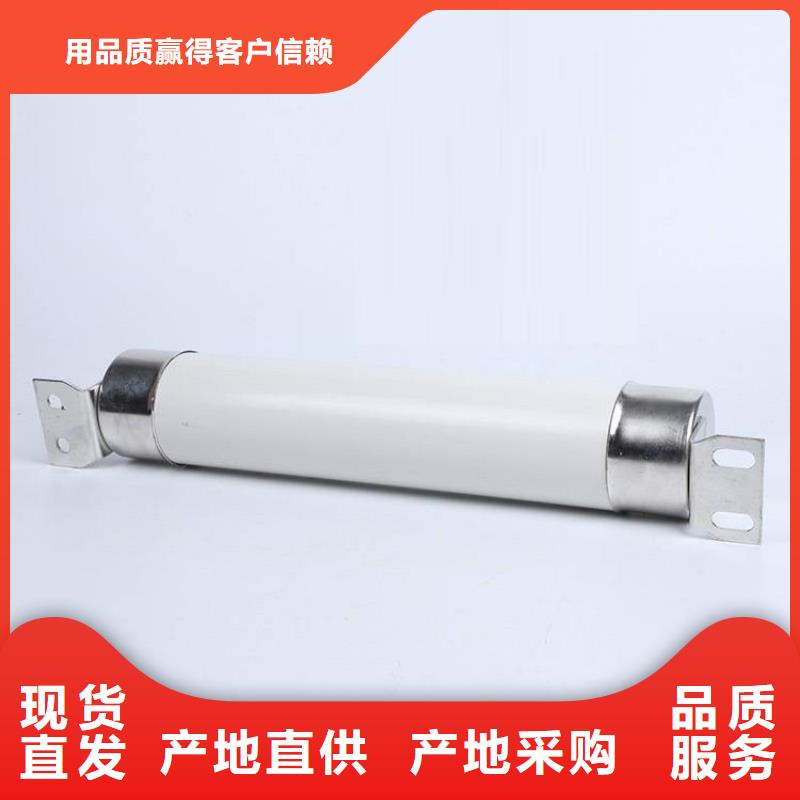 高压熔断器PT手车免费询价拒绝伪劣产品