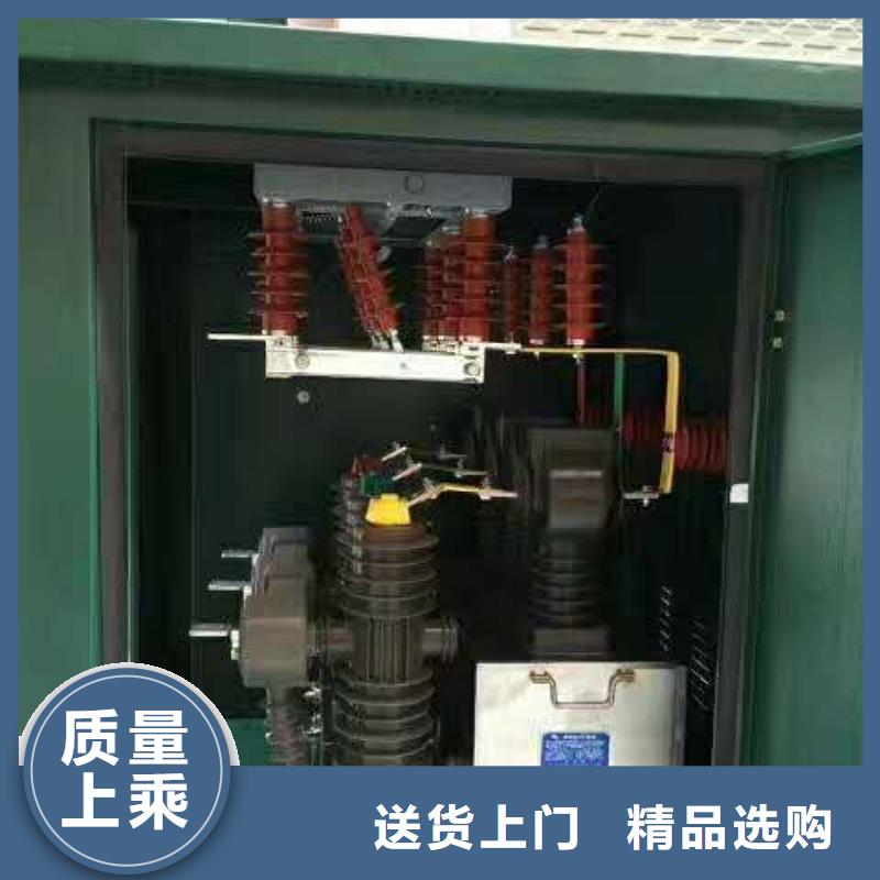 真空断路器_【BR-1双电源配电箱】丰富的行业经验本地公司