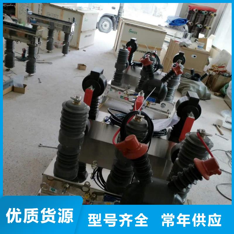 真空断路器高压氧化锌避雷器同行低价本地厂家