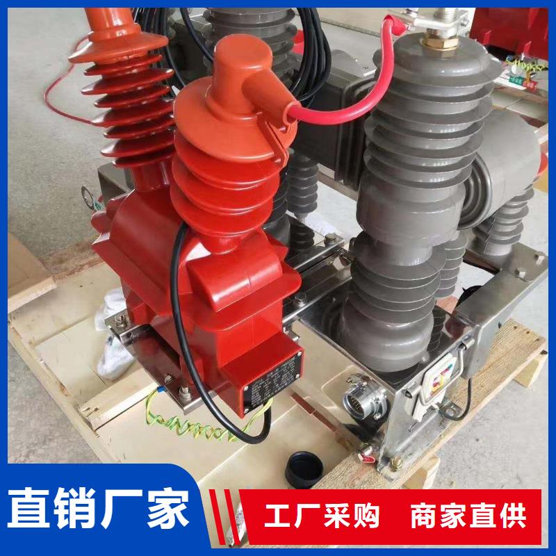 真空断路器-户外跌落式避雷器产品细节当地公司