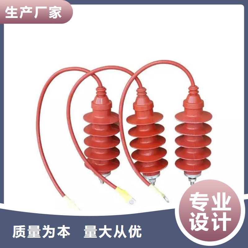 氧化锌避雷器XRNT-12KV熔断器让客户买的放心厂家直接面向客户