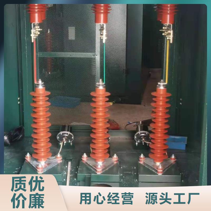 氧化锌避雷器高压负荷开关厂家直销售后完善专业厂家