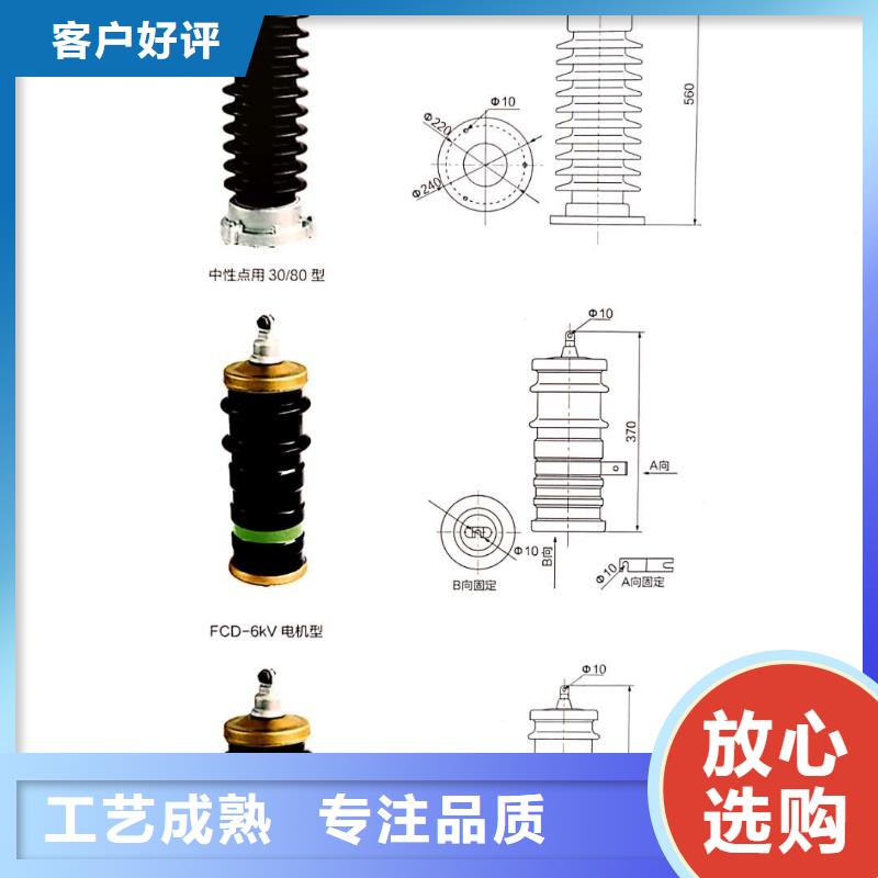 氧化锌避雷器XRNT-12KV熔断器定制销售售后为一体本地生产厂家