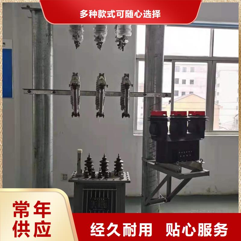 跌落式熔断器电磁锁厂家供应免费回电
