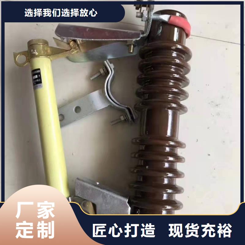 跌落式熔断器PT手车匠心打造质量检测