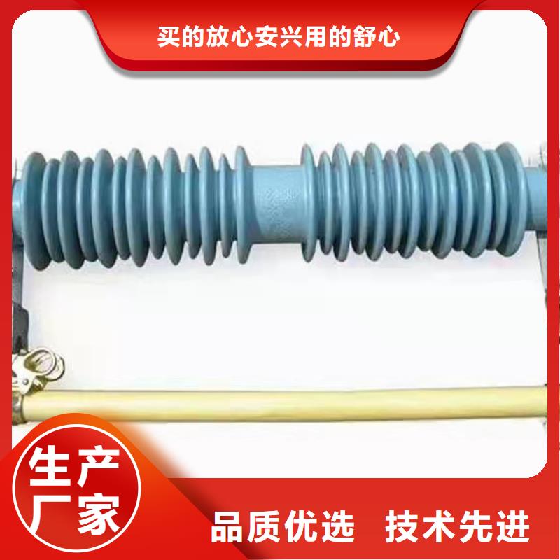 跌落式熔断器GW9-12/630新型/老型应用领域免费获取报价