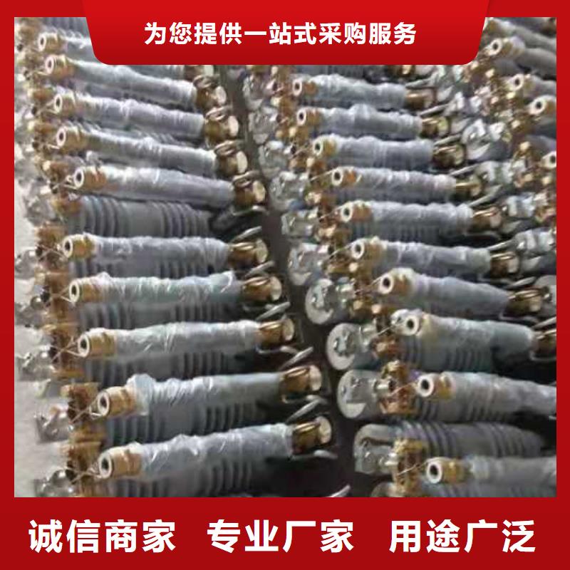 跌落式熔断器户内高压真空断路器市场行情当地服务商