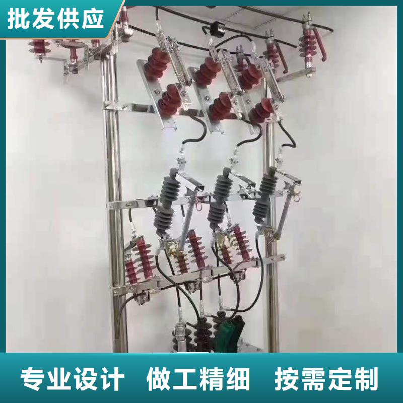 跌落式熔断器高压限流熔断器用心做好细节当地供应商