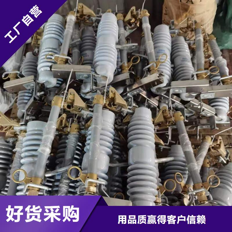 跌落式熔断器高压限流熔断器免费询价专注质量