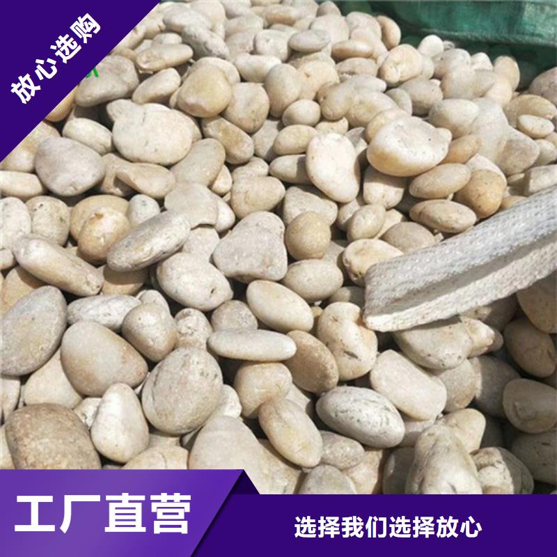 鹅卵石ABS滤板实力厂家本地制造商