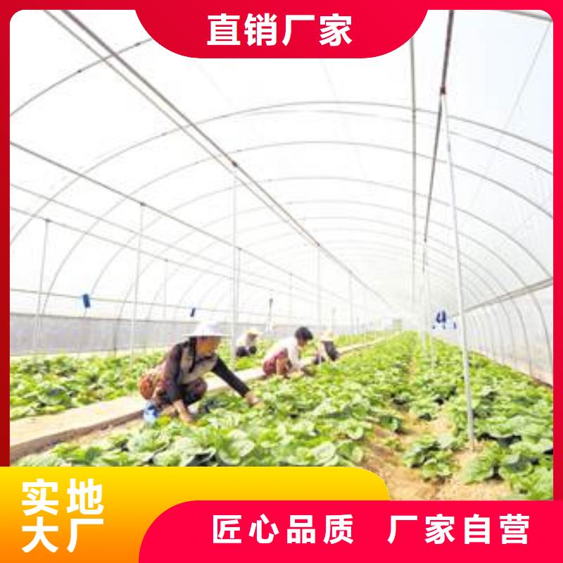 大棚管大棚管定制零售批发本地经销商