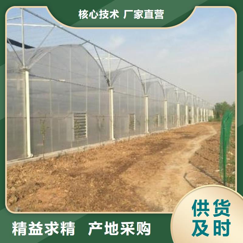 大棚管温室大棚管海量库存当地服务商