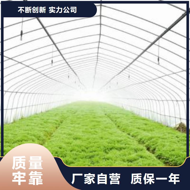 大棚管温室大棚管专业按需定制源头厂商