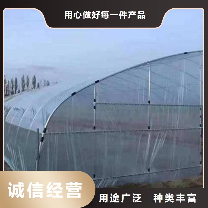 大棚管连体大棚产品细节参数品质服务