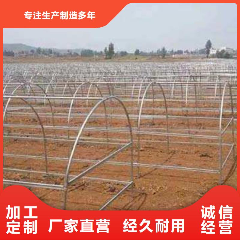 大棚管椭圆管温室大棚送货上门多种规格库存充足