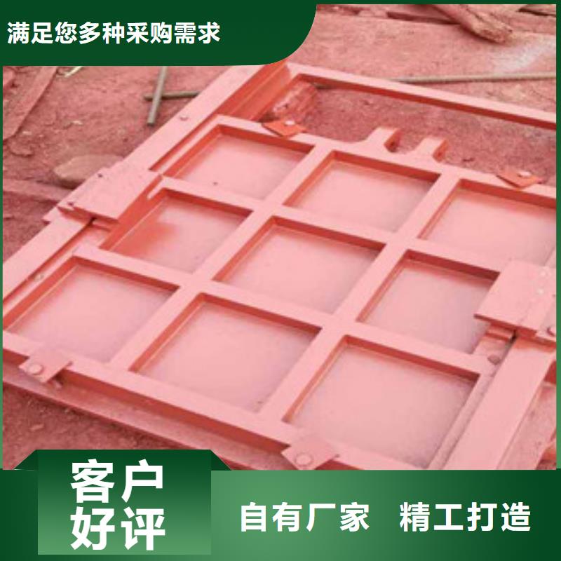铸铁闸门_液压升降坝产地工厂专业完善售后