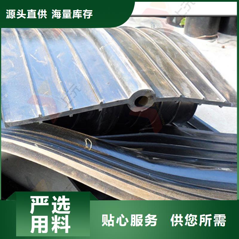 橡胶止水带,球铰支座本地厂家值得信赖{当地}品牌