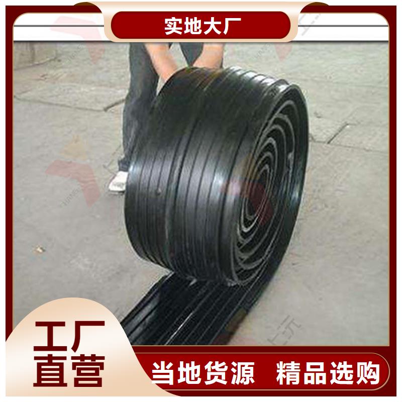 橡胶止水带_球铰支座实力优品一站式供应厂家