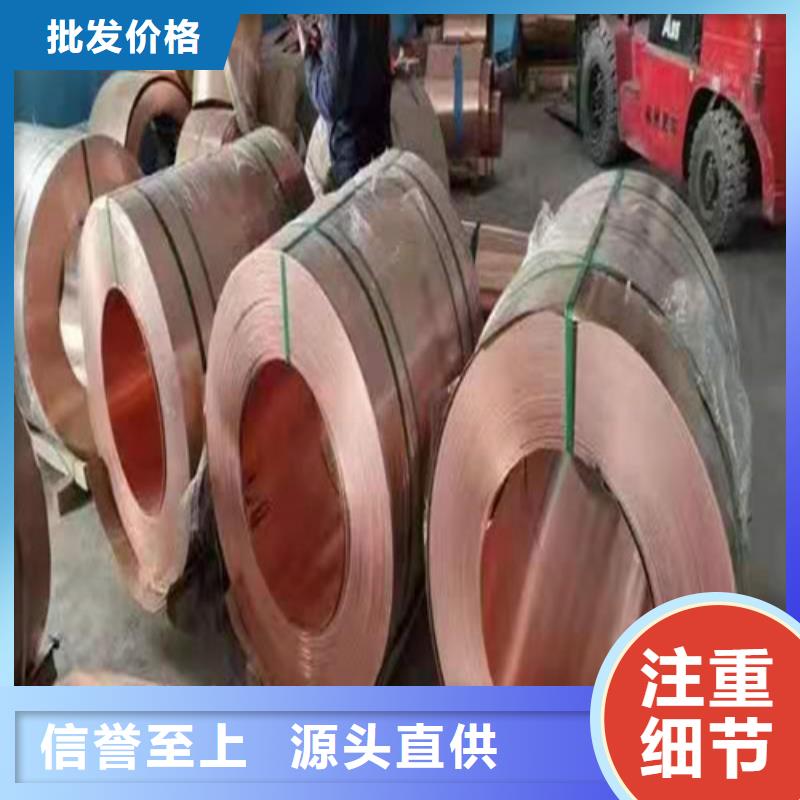 【铜排铜片复合土工膜应用领域】工厂价格