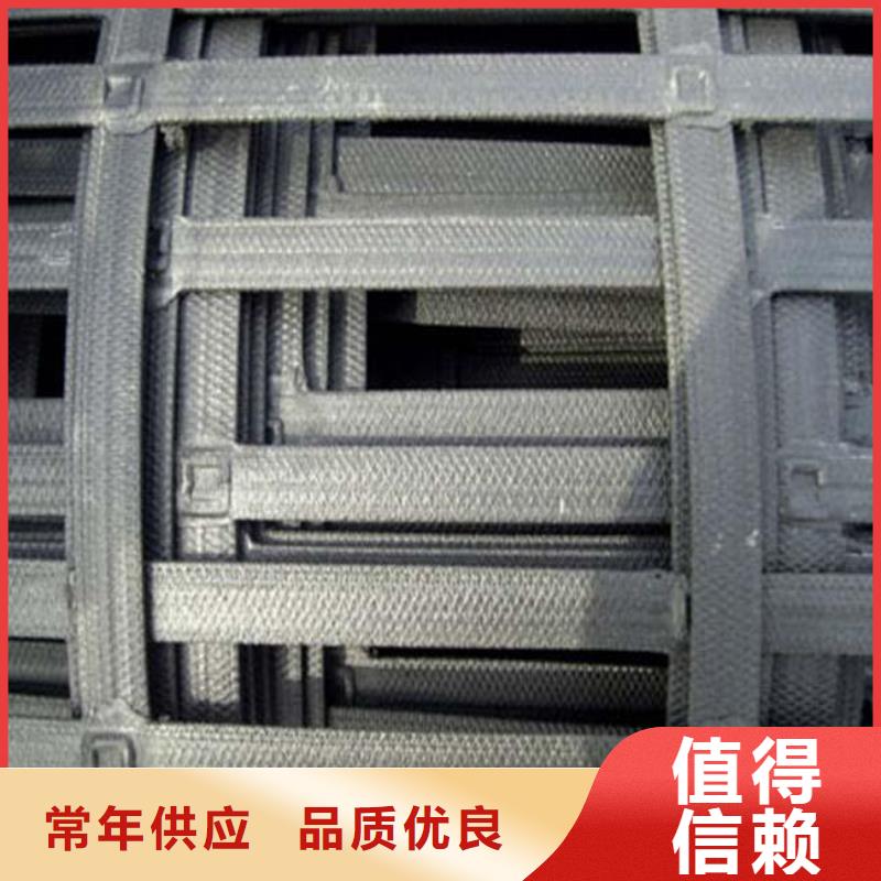 钢塑土工格栅三维植被网用心做品质多种规格供您选择