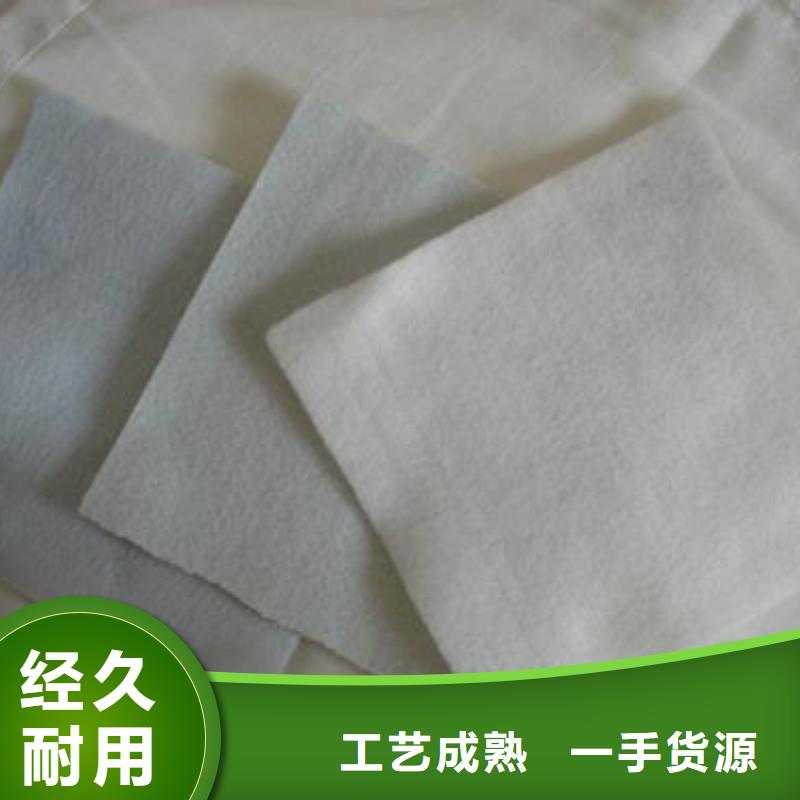 土工布【三维土工网垫】适用范围广同城厂家