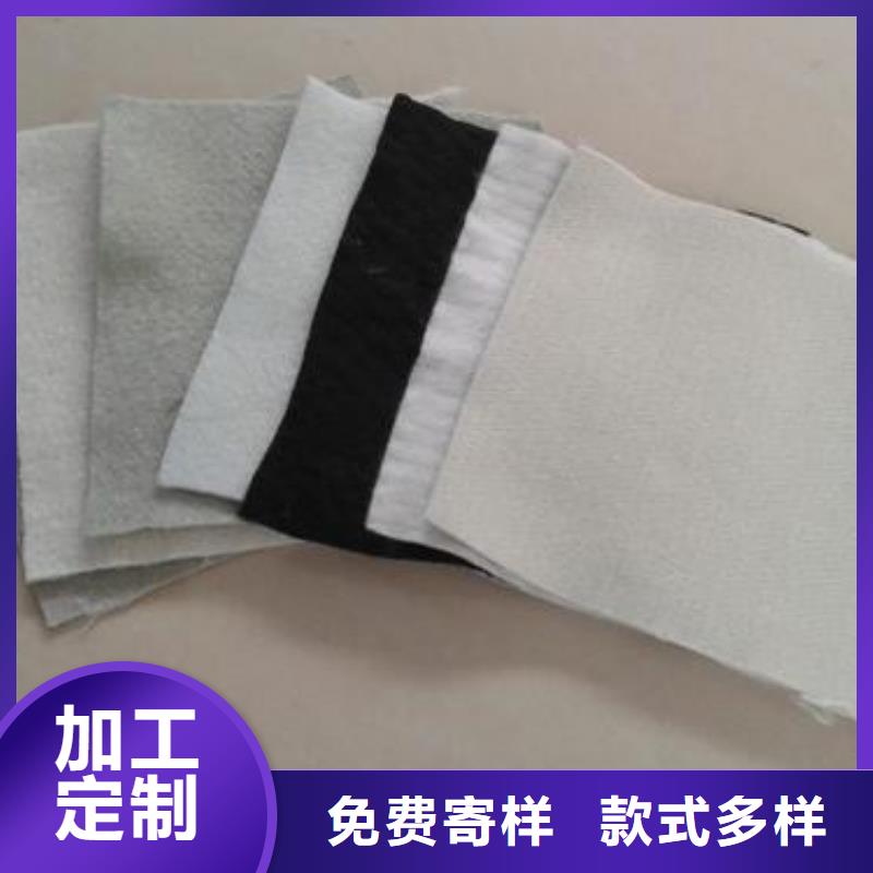 土工布PP焊接土工格栅现货充足从厂家买售后有保障