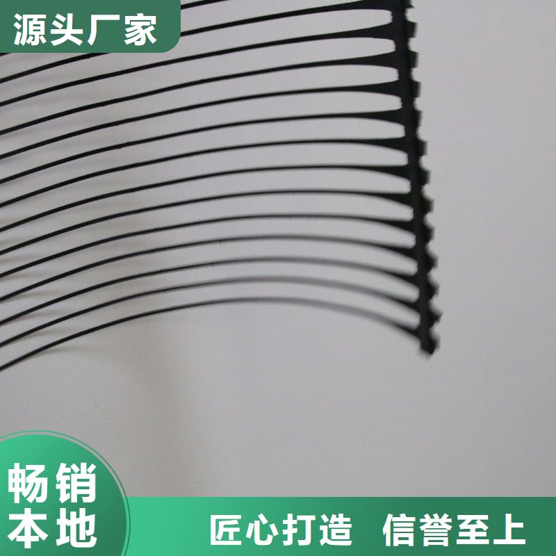 单向塑料土工格栅土工席垫多种优势放心选择订购