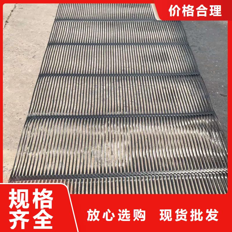 单向塑料土工格栅涤纶土工格栅快速物流发货本地货源