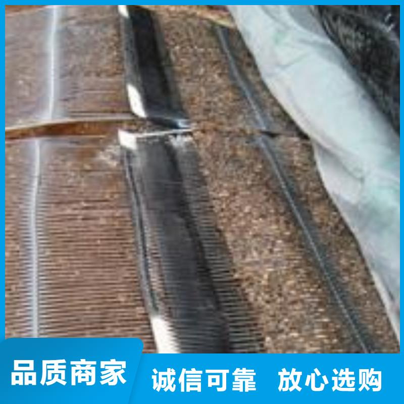 单向塑料土工格栅塑料盲沟工厂直营精挑细选好货
