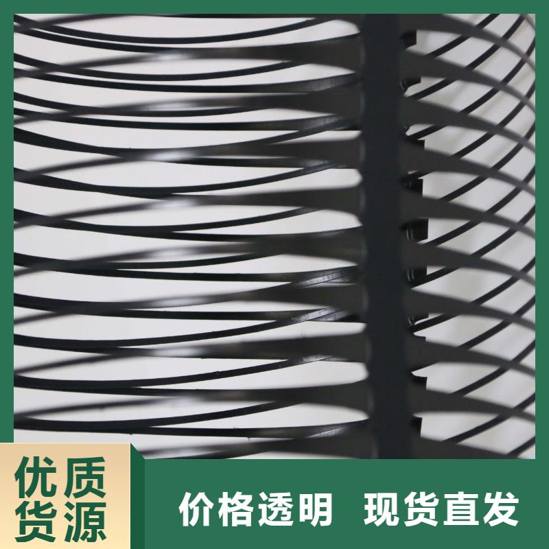 单向塑料土工格栅短丝土工布随心所欲定制大厂家实力看得见