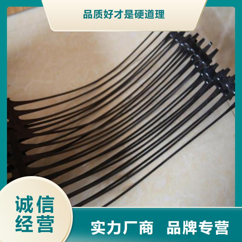 【单向塑料土工格栅】土工席垫源厂直接供货品牌企业