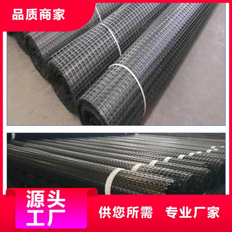 双向塑料土工格栅三维土工网垫当地货源N年生产经验