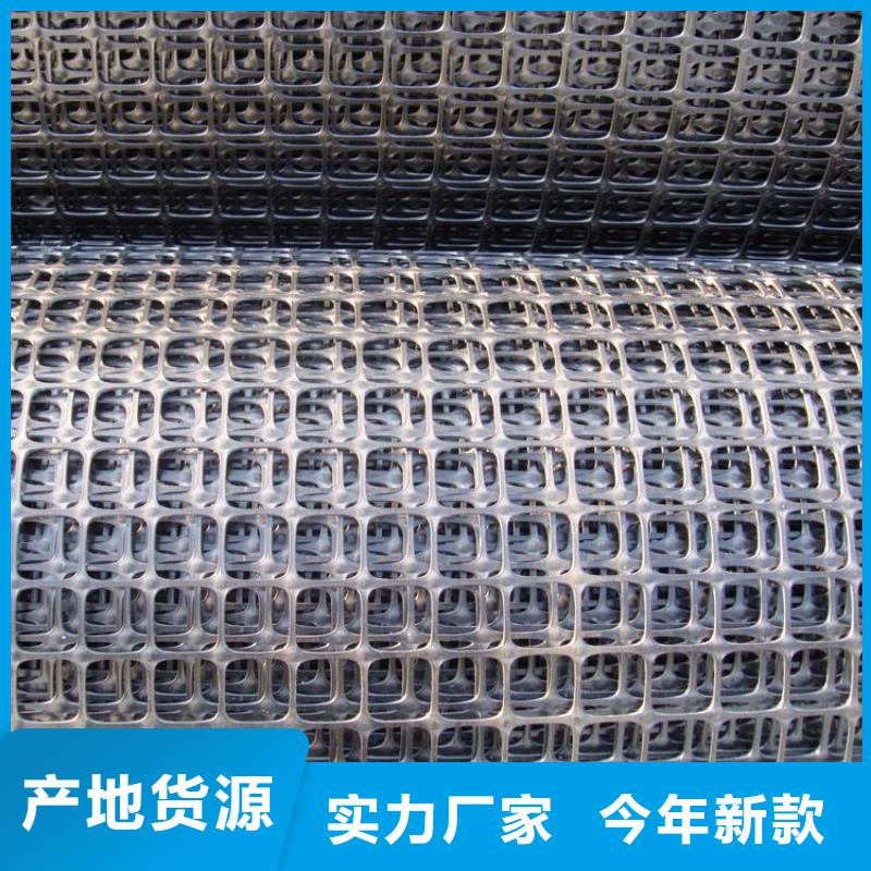 双向塑料土工格栅单向塑料土工格栅品质做服务畅销当地