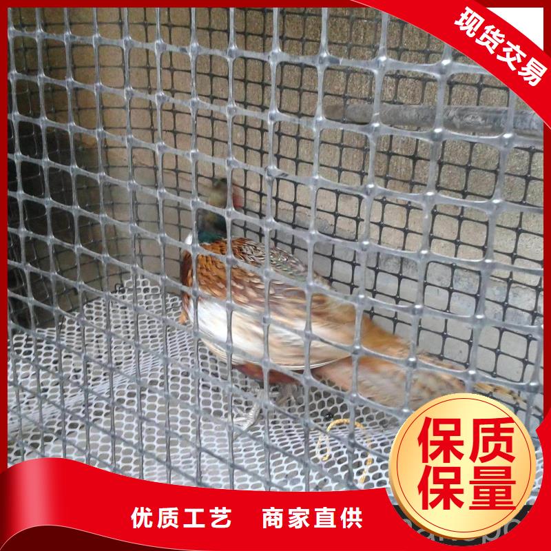 双向塑料土工格栅质检严格放心品质精心打造
