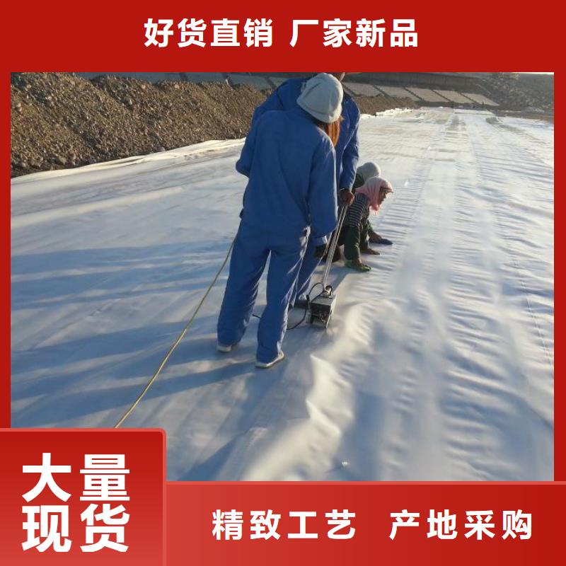 【土工膜涤纶土工格栅符合标准】大量现货