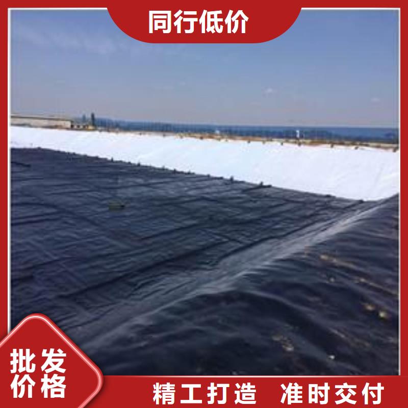 土工膜涤纶土工格栅出货及时库存量大
