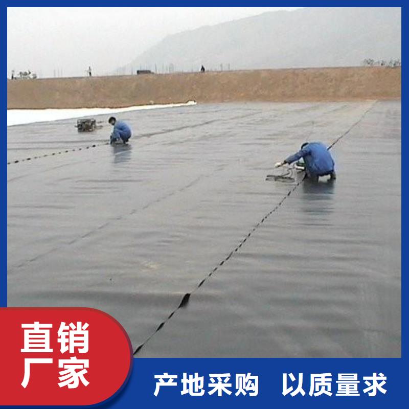 【土工膜】三维复合排水网无中间商厂家直销品种全